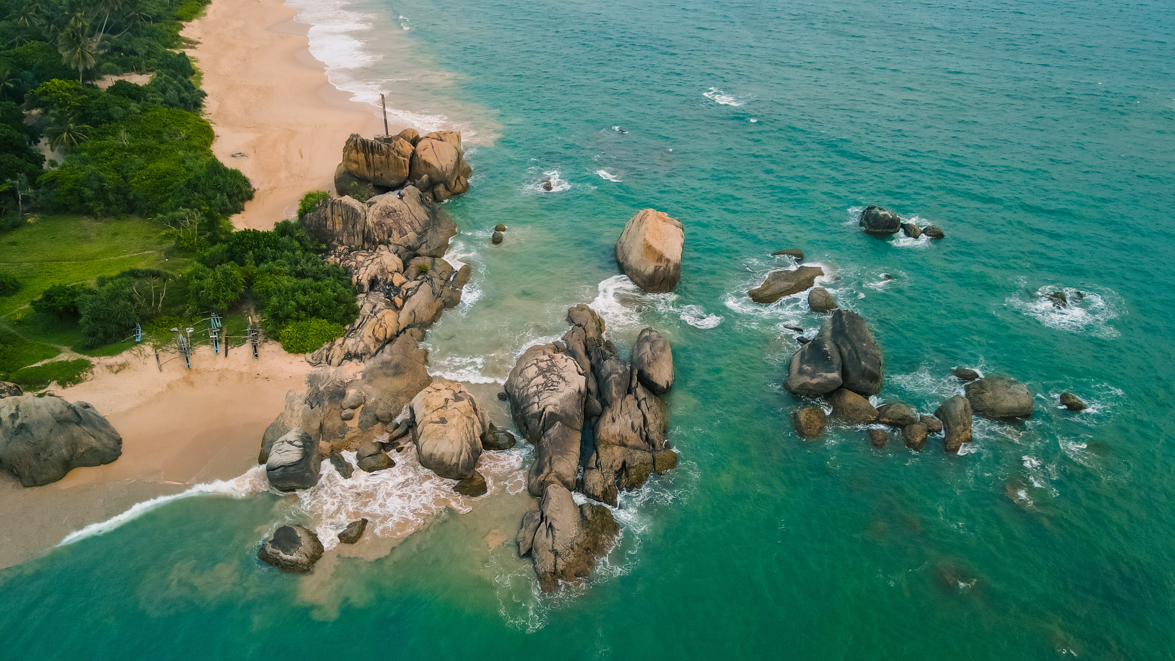 Tropical Coastline